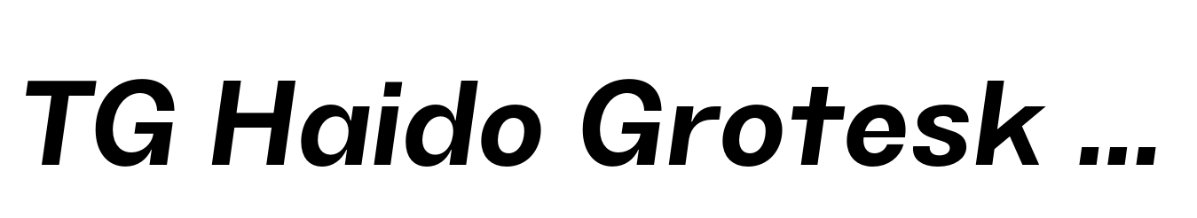 TG Haido Grotesk Bold Italic